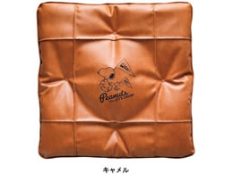 {tH[ Xk[s[`A2 45~45cm (ȓp) CA 5711-06CA