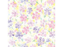 wCR[  S t[JNe 100 002353400