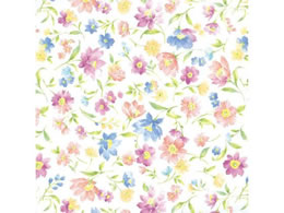 wCR[  S A}h 100 002353700