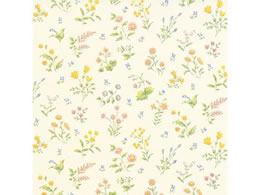 wCR[  S IlXg 100 002353703