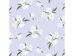 wCR[  S  50 002353704