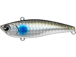 �A���Y�f�U�C�� ima ���C�L��70 RK70-004 �{��