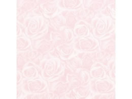 wCR[   OCXt P 50 002410972