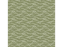 wCR[   䂭 t 50 002411042