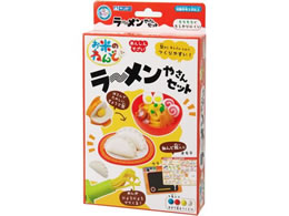 ⒹY Ă̂˂ [Zbg 462-338