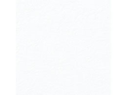 wCR[ a ̎q G{X NO.1  5 002108000