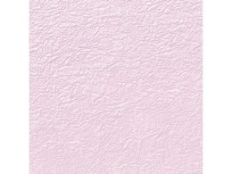 wCR[ a ̎q G{X NO.24 tW 5 002108007