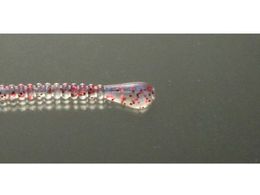 issei �C���Y �X�p�e�� 3 #002 �N���A���b�h�t���[�N