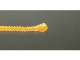 issei �C���Y �X�p�e�� 1.5 #009 �I�����W(�O���[)