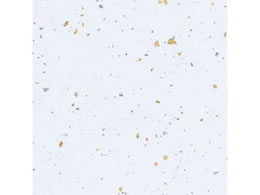 wCR[ a _U  50 002107601