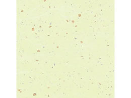 wCR[ a _U  50 002107603