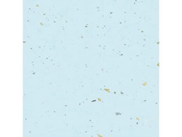 wCR[ a _U F 50 002107605