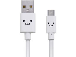 GR microUSBP[u 2Ao 1.2m MPA-FAMB2U12CWH