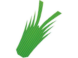 EBM ���o���� �C�V�^1�� 1000���� 7865900