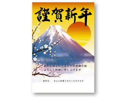 TTK N|X^[ xmR 5 29-336