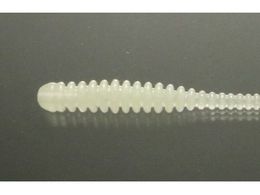 issei �C���Y �V���L�[�V���b�h 2 #�O���[