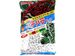 �g���`���[ �n�`�p���G�[�X 2Kg #038621