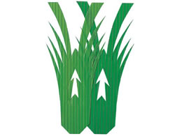 ���n�� �o���� �C�V�^2�� 1000���� 7866900