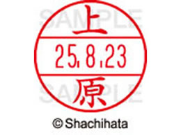 �V���`�n�^ �f�[�^�[�l�[��EX12���}�X�^�[�� ���� �㌴  XGL-12M-0366