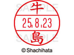 �V���`�n�^ �f�[�^�[�l�[��EX12���}�X�^�[�� ���� ����  XGL-12M-0377