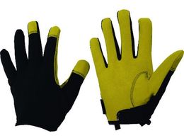 t[o[ }CNt@Co[O[u CTChxgf  L LL 