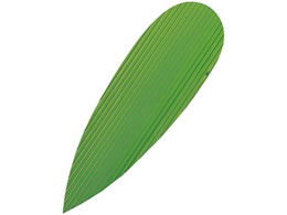 ���n�� �o���� �� 1000���� �� 157�~47 7867300