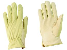 �쐼/�؃��C�i�[��� 10�o����