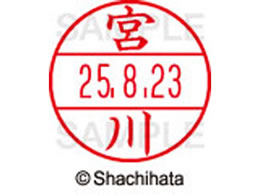 �V���`�n�^ �f�[�^�[�l�[��EX12���}�X�^�[������ �{��  XGL-12M-1872