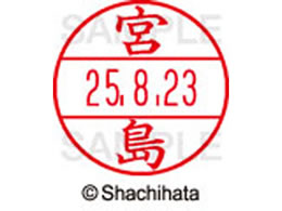 �V���`�n�^ �f�[�^�[�l�[��EX12���}�X�^�[������ �{��  XGL-12M-1879