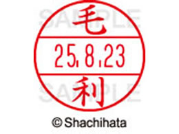 �V���`�n�^ �f�[�^�[�l�[��EX12���}�X�^�[������ �ї�  XGL-12M-1919