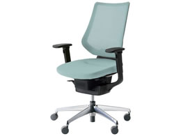 RN CO bVw^[RCY IL V CRGA3413E6G439V