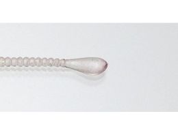 issei �C���Y �X�p�e�� 1.5 #035 �P�C�������C���{�[