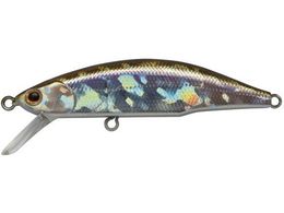 �W���N�\�� ���e�I�[�� 52 WAK ���J�T�M