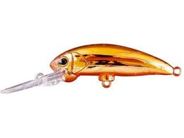 �W���b�J�� JK �u���u���~�m�[DR �S�[���f��