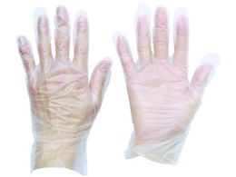 TRUSCO/MYGXg}[ (TPE) ĝĎ