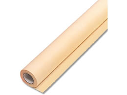 wCR[ t[bsO[ Fbv NO.20 EX_C_C 1{