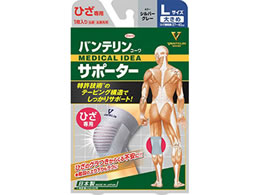 a oeR[T|[^[ Ђp Vo[O[ 傫L