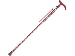 tWz[ ANeBuO[X ܏ ubN