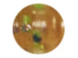 ���C�� �A�W�L�����X�����v #192 GS�I�L�A�~�z��