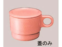 ۉH }OJbvW C6C ThsN 0950600