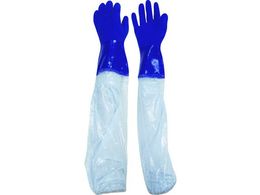 rjX^[/rJo[t rjX^[rJo[tϖ