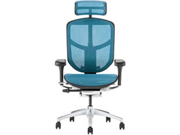 Ergohuman GSq[} GWC2 nC^Cv@u[ 389595