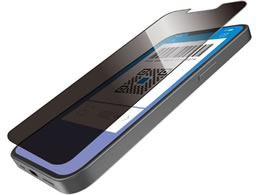 GR iPhone16e `h~KX E PM-A25SFLGGPF2