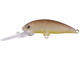 �W���b�J�� JK �u���u���~�m�[DR �S���e�B�[���b�V���O���[�K