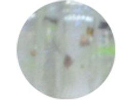 ���C�� �A�W�����K�[ #183 GS�C���V