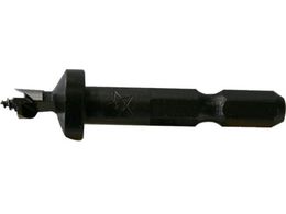 �X�^�[�G��/�Z�p���_�{��