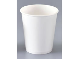 EBM Rbv n 5IX 100 a66