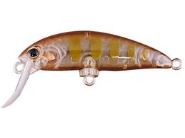 �W���b�J�� TM �u���u���~�m�[(F) #�^�b�L�[�O���[���}��