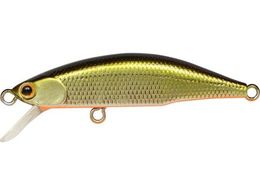 �W���N�\�� ���e�I�[�� 45 #TSD �e�l�V�[�V���b�h