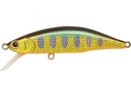 �W���N�\�� ���e�I�[�� 70 #SKY �L�����}��